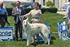 Resultaten bekijken